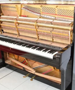 STEINWAY V-125