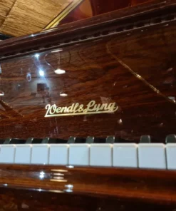 Wendl & Lung Mod.151 Mahogany - Silent