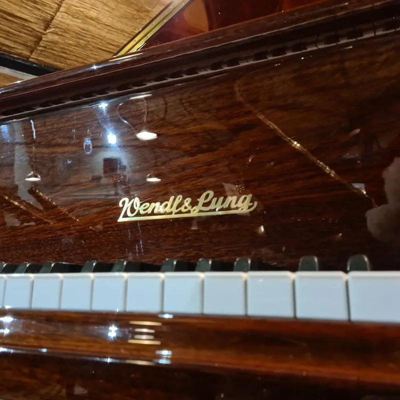 Wendl & Lung Mod.151 Mahogany - Silent