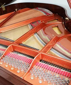Wendl & Lung Mod.151 Mahogany - Silent
