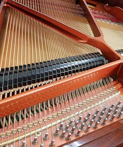 Wendl & Lung Mod.151 Mahogany - Silent