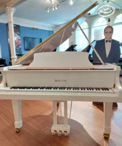 Wendl & Lung Mod.161 Professional I