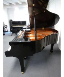 Wendl & Lung Mod.161 Professional I