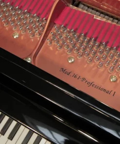 Wendl & Lung Mod.161 Professional I