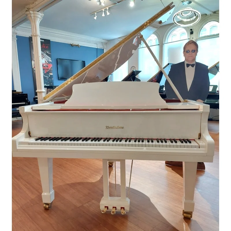 Wendl & Lung Mod.161 Professional I