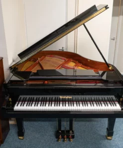 Wendl & Lung Mod.161 Professional I Mahogany