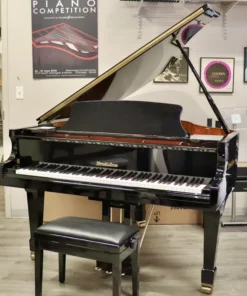 Wendl & Lung Mod.161 Professional I Mahogany