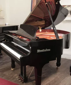 Wendl & Lung Mod.161 Professional I Mahogany
