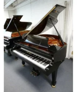 Wendl & Lung Mod.161 Professional I Mahogany
