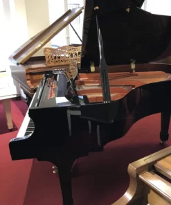 Wendl & Lung Mod.178 Professional II Mahogany