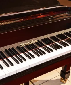 Wendl & Lung Mod.178 Professional II Mahogany