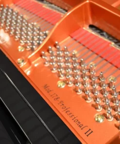 Wendl & Lung Mod.178 Professional II Mahogany