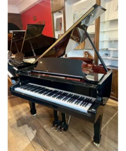 Wendl & Lung Mod.178 Professional II