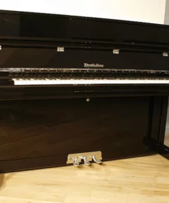 Wendl & Lung U-115W