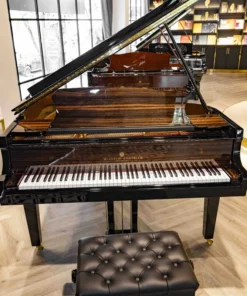Wilhelm Grotrian WGS165