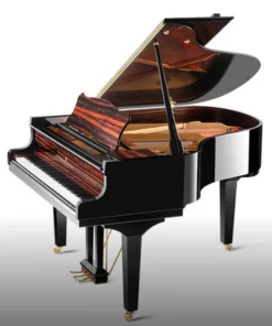 Wilhelm Grotrian WGS165