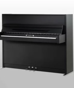 Wilhelm Schimmel W114 Modern Super Matt