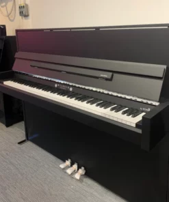 Wilhelm Schimmel W114 Modern Super Matt