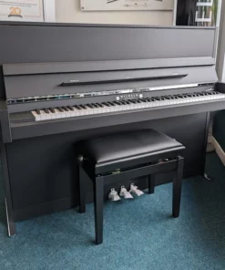 Wilhelm Schimmel W114 Modern Super Matt
