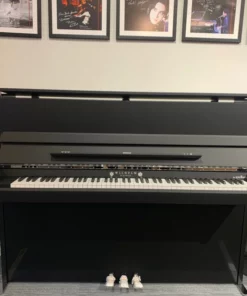 Wilhelm Schimmel W114 Modern Super Matt