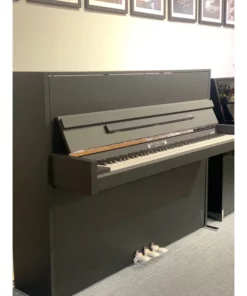 Wilhelm Schimmel W114 Modern Super Matt