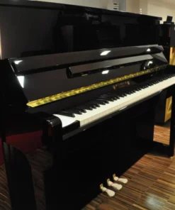 Wilhelm Schimmel W118 Tradition (Mahogany High Gloss)