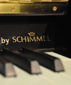 Wilhelm Schimmel W118 Tradition (Ebony High Gloss)