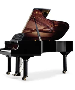 Wilhelm Schimmel W118 Tradition (Ebony High Gloss)