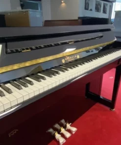 Wilhelm Schimmel W123 Tradition