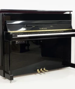 Yamaha B2
