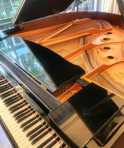 YAMAHA C1 PE (USED)