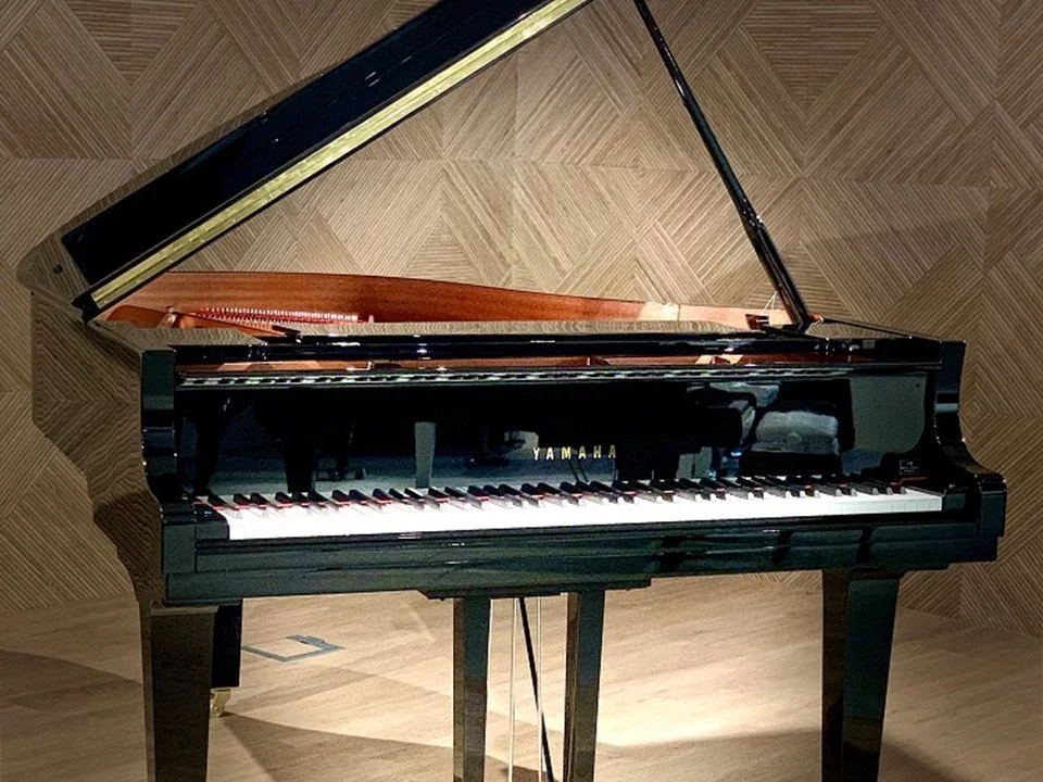 YAMAHA C1X