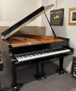YAMAHA C2L