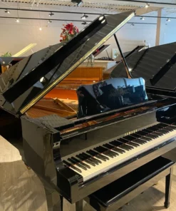 YAMAHA C2L