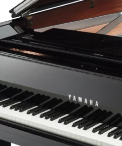 YAMAHA C2X Chrome SH3 (Limited Edition)