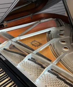 YAMAHA C2X Chrome SH3 (Limited Edition)