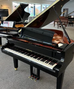 YAMAHA C2X