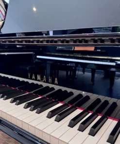 YAMAHA C2X