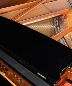 YAMAHA C2X