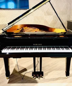 YAMAHA C3 Silent
