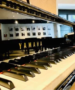 YAMAHA C3 Silent