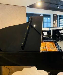 YAMAHA C3 Silent
