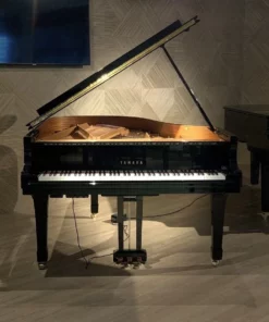 YAMAHA C3 Silent