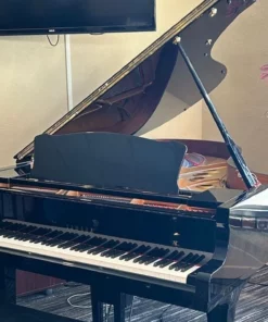 YAMAHA C5 PE