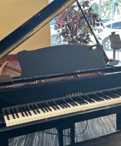 YAMAHA C5 PE