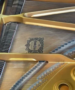 YAMAHA C5 PE