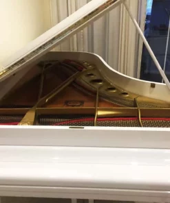 YAMAHA C5A PWH Seri 4