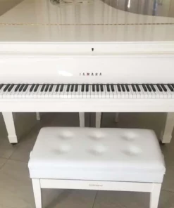 YAMAHA C5A PWH Seri 4
