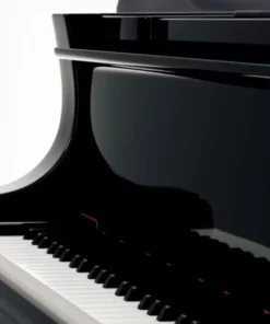 YAMAHA C5X