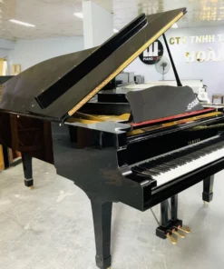 YAMAHA C7B seri 4.8